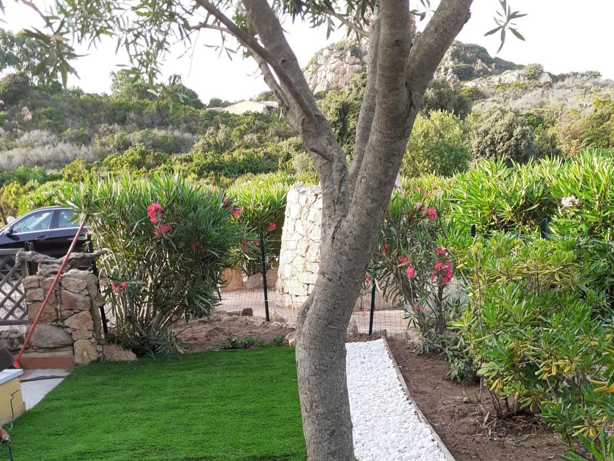 Villetta Rocchi - Costa Paradiso Exterior foto