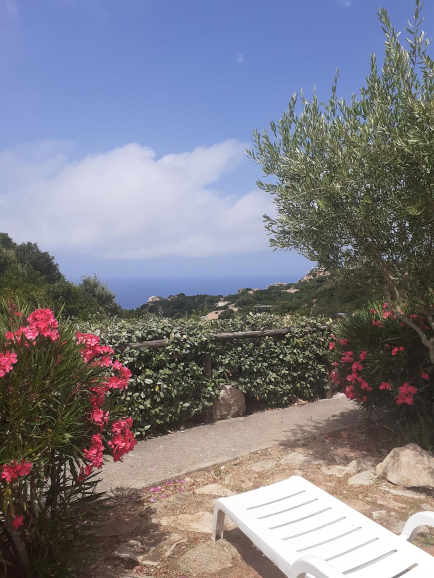 Villetta Rocchi - Costa Paradiso Exterior foto